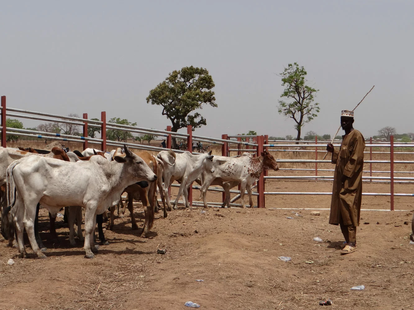 livestock Farm